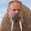 Donald Tusk icon