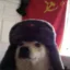 Comrade Doggo icon