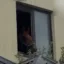windowhorse icon
