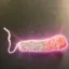 Umbilical Gummy Worm icon