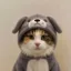 inu icon