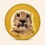 SNEPCOIN icon