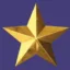 Gold Star Family Fund icon