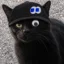 fomocat icon