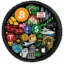 EVERYTHING COIN icon