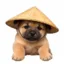 gǒu icon