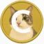 COGE icon