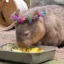 auntie aisa icon