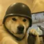Bunker Inu icon
