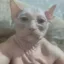 uncle pussy icon