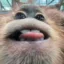monke icon