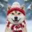 WINTERINU icon