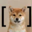 [inu] icon