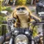 The Bike Gator icon
