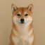 Inu icon