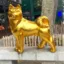 Golden Inu icon
