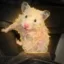 ハムちゃん icon