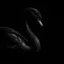 The Black Swan icon
