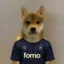 Football Inu icon