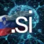 .si icon