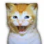 E-CAT icon