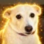 Help Save Luna icon