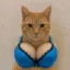 BRA icon