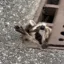 Rocky The Raccoon icon
