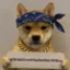 OG Inu icon
