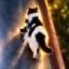 The Sisyphean Cat icon