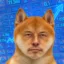 Enu icon