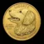Unconditional Support Dog Coin icon