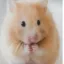 Justice for Hamster icon