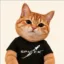 Paid Cat icon
