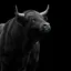 The Black Bull icon