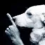 Shh icon