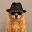 Incognito icon