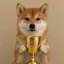 World Recordinu icon