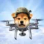 Drone Inu icon