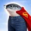 Superfishul Intellijeans icon