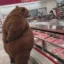 Bear In Decision icon
