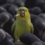Spanky the parrot icon