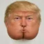 Donald Rump icon