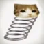 bing cat icon