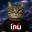Anti Inu icon