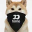 fomoinu icon