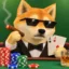 Casinu icon