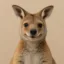 joey icon