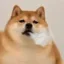 SIGH inu icon
