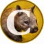 Clover Coin icon